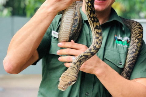 Virtual Interactive Australian Wildlife Tour With Private Guide-Wildlife Habitat - Nambucca Heads Accommodation 1