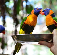 Wildlife Habitat Port Douglas - Nambucca Heads Accommodation