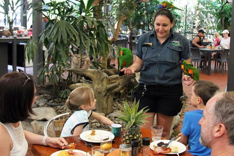 Wildlife Habitat Port Douglas - Nambucca Heads Accommodation 2