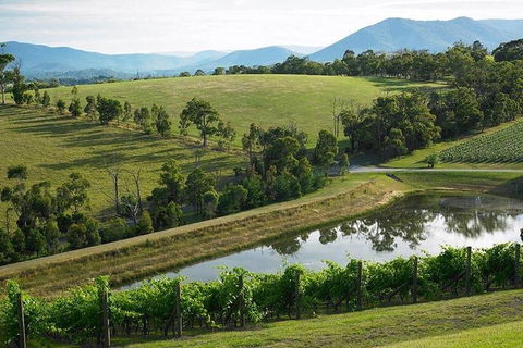 Yarra Valley Wine And Cider Tours By Classic Convertibles From Melbourne - Nambucca Heads Accommodation 1