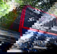 Blue Mountains Hop-on Hop-off Tour with Optional Scenic World Rides - Nambucca Heads Accommodation