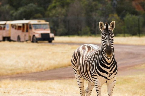 Werribee Open Range Zoo General Admission Ticket - Nambucca Heads Accommodation 5