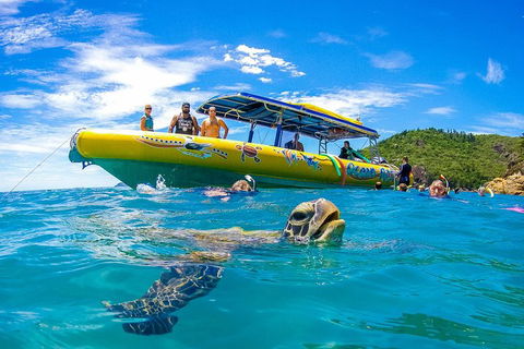 Great Barrier Reef Scenic Flight And Ocean Rafting Whitehaven Beach Day Trip - Nambucca Heads Accommodation 1