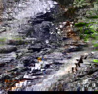 Full-Day Canyoning Experience at Stunning Empress Canyon - Nambucca Heads Accommodation