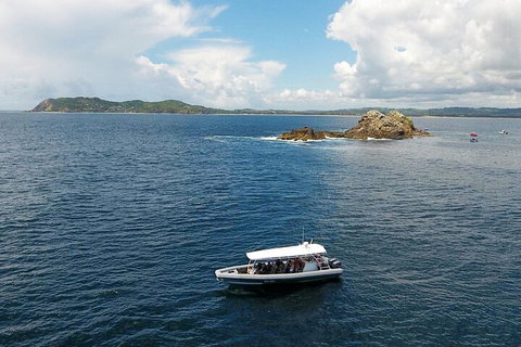 Julian Rocks Byron Bay Cruise - Nambucca Heads Accommodation 5