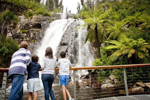 Lake Mountain Snow Trip Including Yarra Valley Chocolaterie From Melbourne - Nambucca Heads Accommodation 0