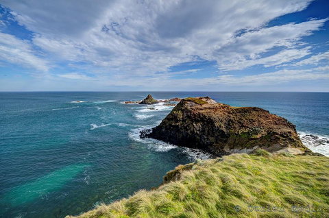 Small-Group Phillip Island Day Trip From Melbourne With Penguin Plus Viewing - Nambucca Heads Accommodation 0