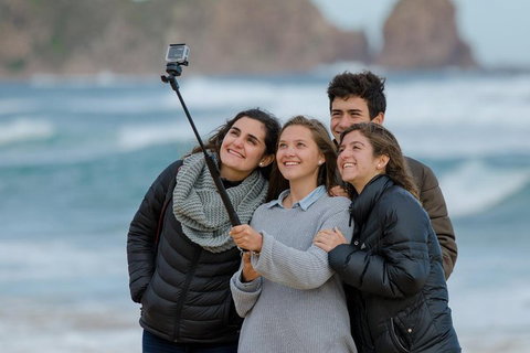 Small-Group Phillip Island Day Trip From Melbourne With Penguin Plus Viewing - Nambucca Heads Accommodation 1