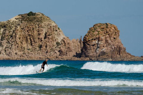 Small-Group Phillip Island Day Trip From Melbourne With Penguin Plus Viewing - Nambucca Heads Accommodation 3