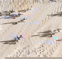 Unlimited Sandboarding - Nambucca Heads Accommodation