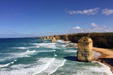 Great Ocean Road Reverse Itinerary Tour - Nambucca Heads Accommodation 4