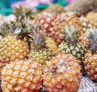 Sunshine Coast Eumundi Markets Return Minibus Transfer - Nambucca Heads Accommodation