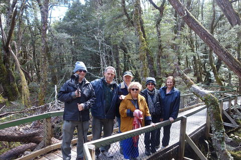 Blue Mountains Private Tour With Wildlife Park And River Cruise - Nambucca Heads Accommodation 2