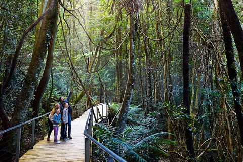 Blue Mountains Private Tour With Wildlife Park And River Cruise - Nambucca Heads Accommodation 4