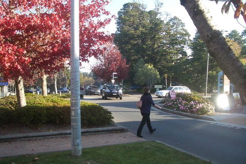 PRIVATE All-Day Blue Mountains Tour With Professional Guide For Up To 4 People - Nambucca Heads Accommodation 1