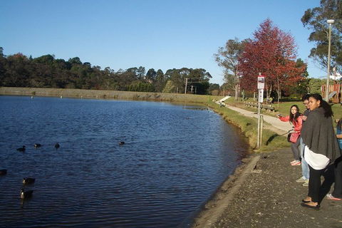 PRIVATE All-Day Blue Mountains Tour With Professional Guide For Up To 4 People - Nambucca Heads Accommodation 2