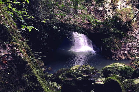 Springbrook Full Day Tour - Nambucca Heads Accommodation 3