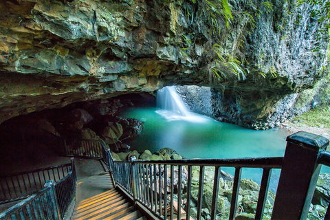 Springbrook Full Day Tour - Nambucca Heads Accommodation 4