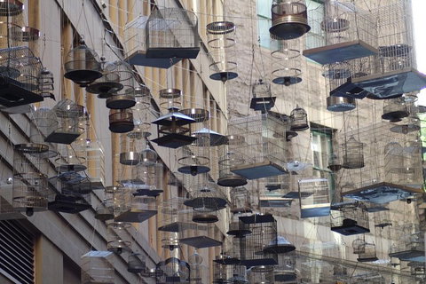 Sydney Scavenger Hunt: Inside Sydney - Nambucca Heads Accommodation 0