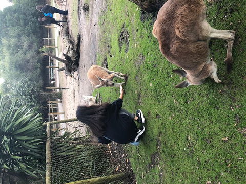 Perth Hills - Wildlife, Art & Gastronomy - Nambucca Heads Accommodation 4