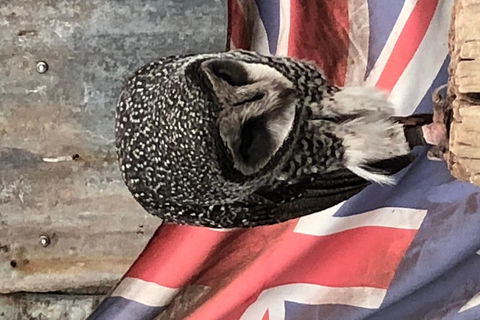 Perth Hills - Wildlife, Art & Gastronomy - Nambucca Heads Accommodation 5