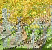 Margaret River Indulge and Discover Day Tour - Nambucca Heads Accommodation