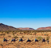 Alice Springs Camel Tour - Nambucca Heads Accommodation