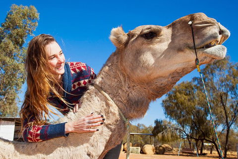 Alice Springs Camel Tour - Nambucca Heads Accommodation 2