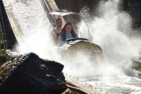 Theme Park Transfer From Brisbane - Nambucca Heads Accommodation 1