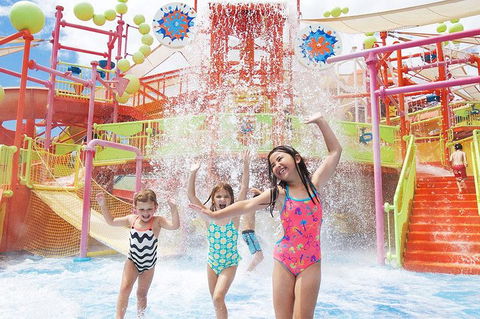 Theme Park Transfer From Brisbane - Nambucca Heads Accommodation 3