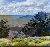 Blue Mountains Private Tour - wild kangaroos waterfalls and The Three Sisters - Nambucca Heads Accommodation