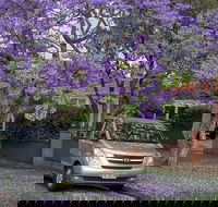 Sydney Secrets  Bondi Beach Private 4 Hr Morning with Personalised Sydney Tours - Nambucca Heads Accommodation