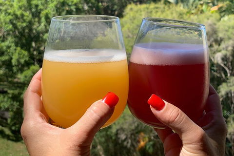 Hipster Sipster Brewery And Distillery Tour - Nambucca Heads Accommodation 3