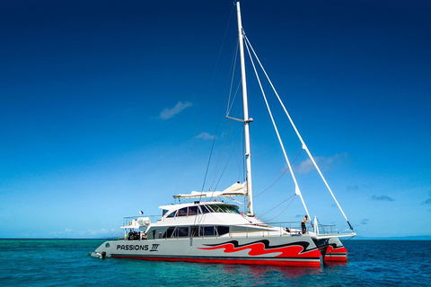 Passions Of Paradise Great Barrier Reef Snorkel And Dive Cruise From Cairns By Luxury Catamaran - Nambucca Heads Accommodation 0