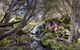LGBT+ Friendly 3 Day Tour The Grampians, Daylesford & Ballarat - thumb 3