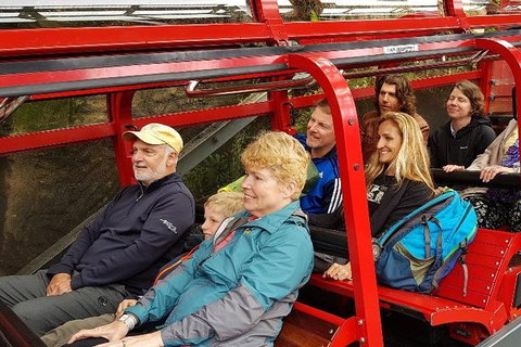 Blue Mountains Ultimate One-Day Tour - Nambucca Heads Accommodation 0