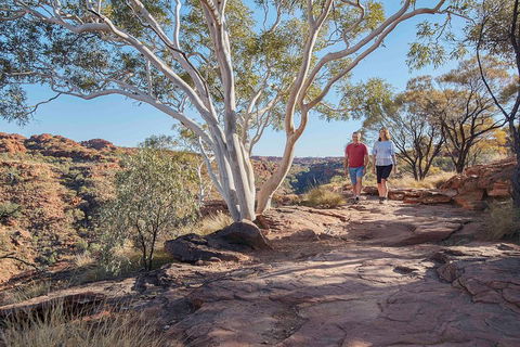 3-Day Tour From Uluru (Ayers Rock) To Alice Springs Via Kings Canyon - Nambucca Heads Accommodation 1