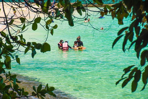 Green Island Day Trip From Cairns - Nambucca Heads Accommodation 2
