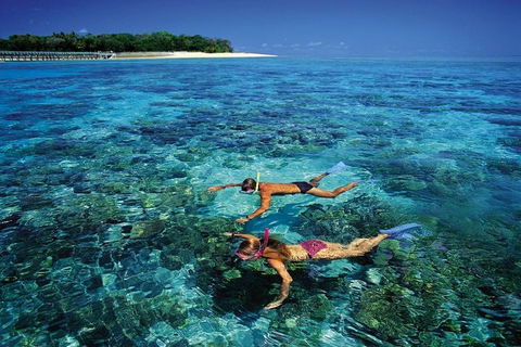 Green Island Day Trip From Cairns - Nambucca Heads Accommodation 5