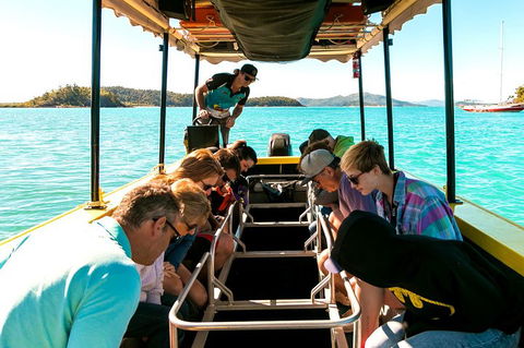 Airlie Beach Glass Bottom Boat Tour - Nambucca Heads Accommodation 1
