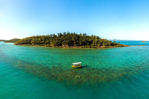 Airlie Beach Glass Bottom Boat Tour - Nambucca Heads Accommodation 3