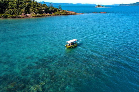 Airlie Beach Glass Bottom Boat Tour - Nambucca Heads Accommodation 4