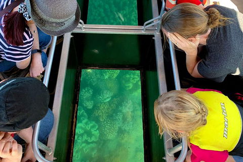 Airlie Beach Glass Bottom Boat Tour - Nambucca Heads Accommodation 5