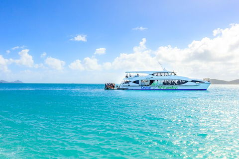 Whitehaven Beach And Daydream Island Cruise - Nambucca Heads Accommodation 2