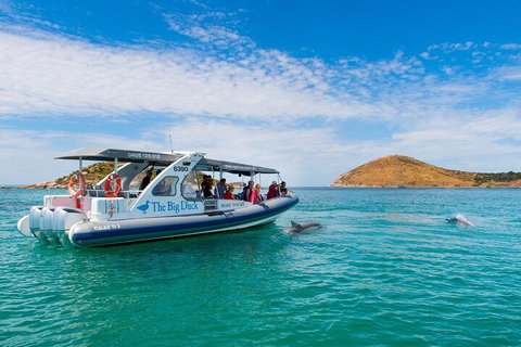 Southern Ocean Adventure From Victor Harbor - Nambucca Heads Accommodation 1