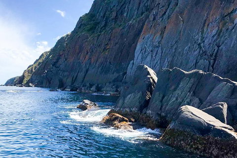 Southern Ocean Adventure From Victor Harbor - Nambucca Heads Accommodation 3