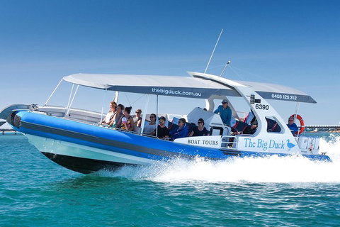 Southern Ocean Adventure From Victor Harbor - Nambucca Heads Accommodation 5