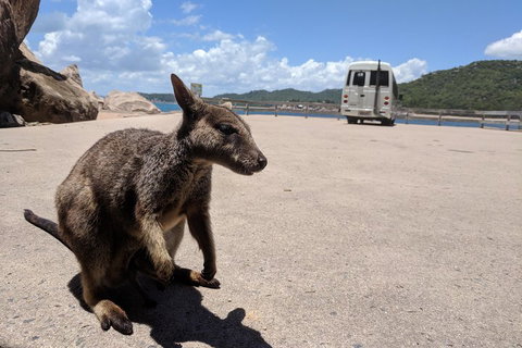 Magnetic Island Tour: Maggie Comprehensive - Nambucca Heads Accommodation 0
