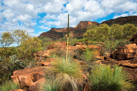 6-Day Eyre Peninsula & Flinders Ranges Adventure Tour - Nambucca Heads Accommodation 1