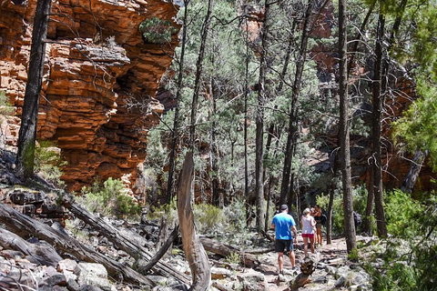 6-Day Eyre Peninsula & Flinders Ranges Adventure Tour - Nambucca Heads Accommodation 5